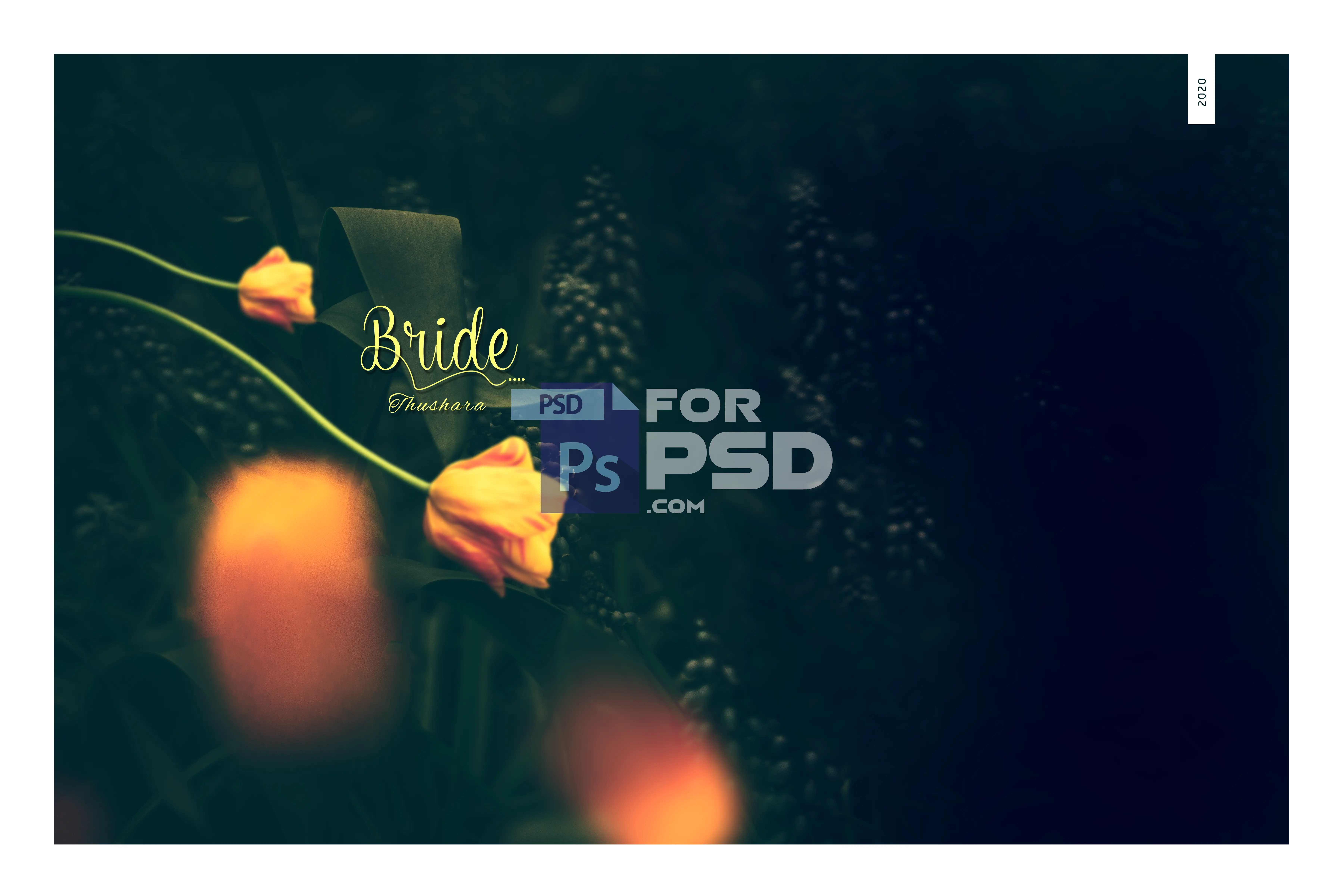 Image Preview